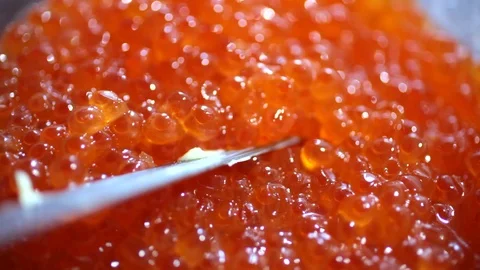 Caviar salmon fish Stock Footage 70359143