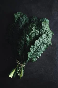 Cavolo nero black kale Stock Illustration
