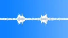Cawing hooded crow (Corvus cornix) Sound Effect