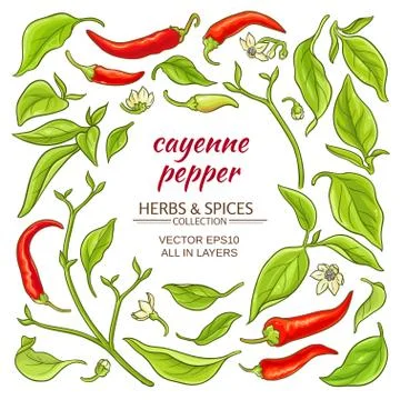 Cayenne pepper elements set Stock Illustration