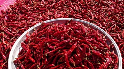 Cayenne pepper Video stock 143550709