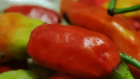 Cayenne pepper Video stock 163269403