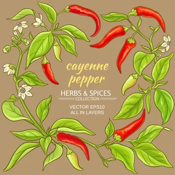 Cayenne pepper frame Stock Illustration