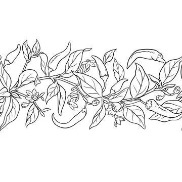 Cayenne Pepper Horizontal Seamless Pattern. Stock Illustration