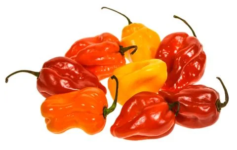 Cayenne pepper or chilli. colored pods Stock Photos