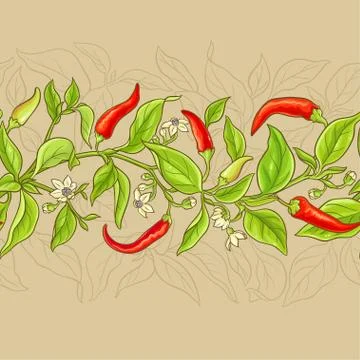Cayenne pepper pattern Stock Illustration