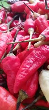 Cayenne pepper Stock Photos