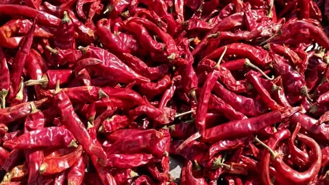 Cayenne pepper red chili Video stock 143547543