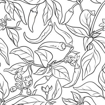 Cayenne pepper seamless pattern Stock Illustration