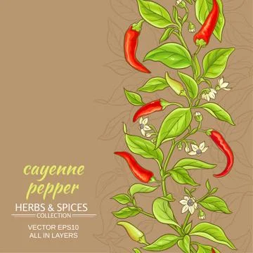Cayenne pepper vector background Stock Illustration