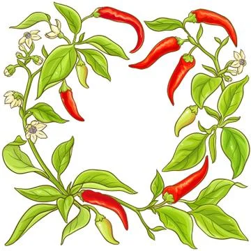 Cayenne pepper vector frame Stock Illustration