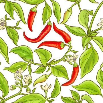 Cayenne pepper vector pattern 스톡 일러스트