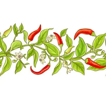 Cayenne pepper vector pattern 스톡 일러스트