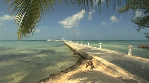 CAYMAN Stock-Footage 12320867