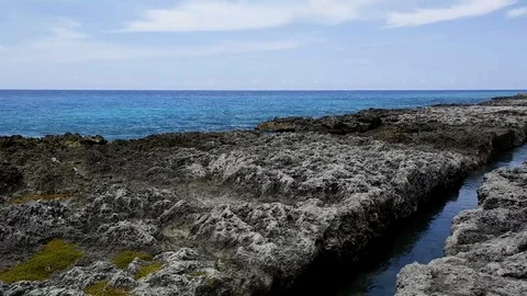 Cayman Island Tidal Pool 스톡 동영상 127942821