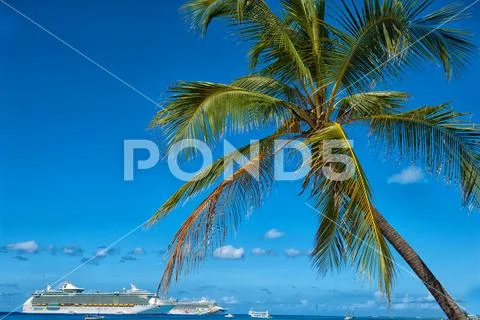 Cayman Islands Stock Photos