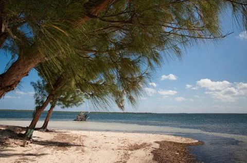 Cayman Kai Beach Stock Photos