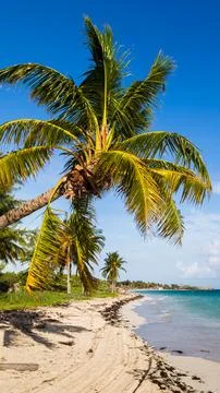 Cayo Coco beach Stock Photos