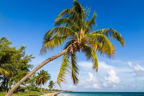 Cayo Coco beach Stock Photos