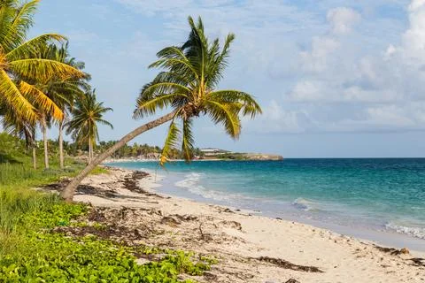 Cayo Coco beach Stock Photos
