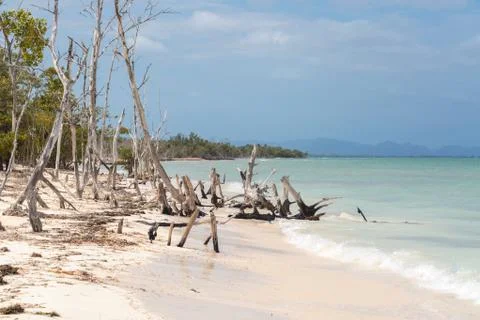 Cayo Levisa, Cuba Stock Photos