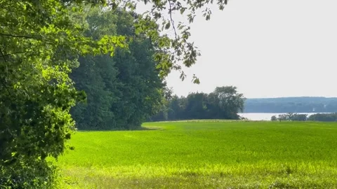 Cayuga lake boat Stock Footage 293824723