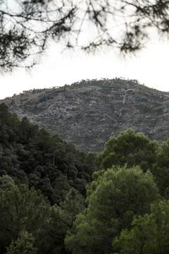 Cazorla forest seen at dusk after sunset. Stock Photos
