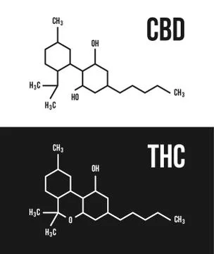 CBD and THC molecular structure illustrations. Cannabinol and Stock Illustration