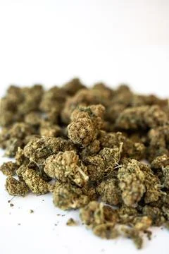 CBD Hemp Buds on white background  Stock Photos