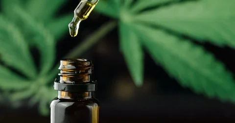CBD hemp oil in a droplet with marijuana plant Stock Footage