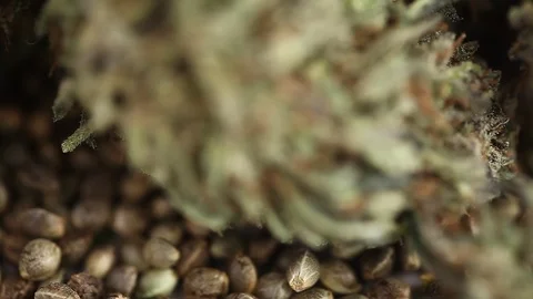 CBD oil hemp products Stock Footage 102446804