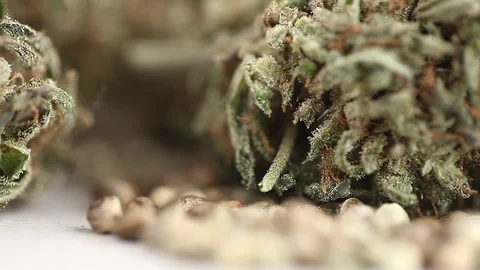 CBD oil hemp products Stock Footage 102447384