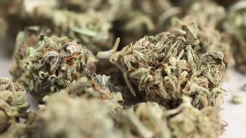 CBD oil hemp products Stock Footage 102447985