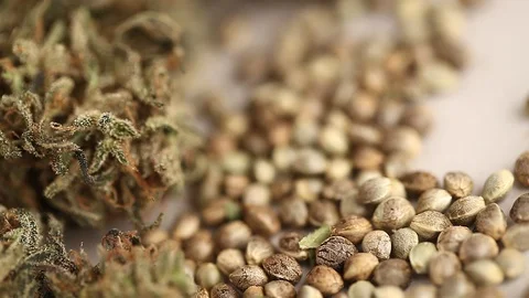 CBD oil hemp products Stock Footage 102448461