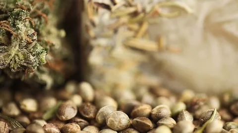 CBD oil hemp products Stock Footage 102448623