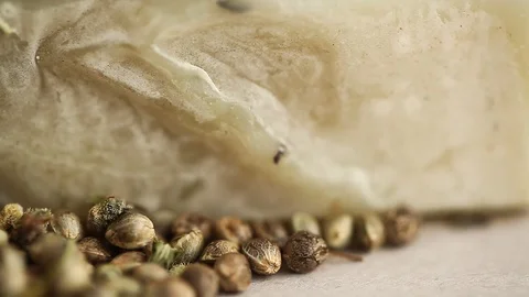 CBD oil hemp products Stock Footage 102448685