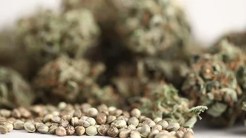 CBD oil hemp products Stock Footage 102448874