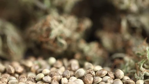 CBD oil hemp products Stock Footage 102449014