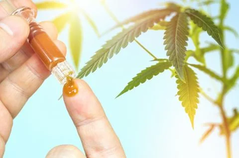 CBD paste against Leafy Cannabis Plant Isolated on blue Background Stock Photos