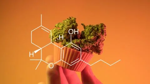 CBD THC healing elements Stock Photos