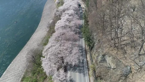 Cbdrone16 Stock Footage 303130866