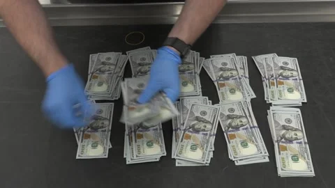CBP Officer counting foreign currency found in a traveler's handbag Stock Footage 292634932