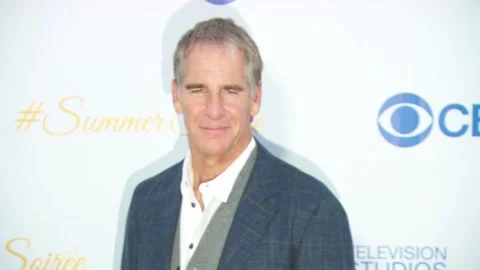 CBS Summer Soiree 2015, West Hollywood - 18 May 2015 Stock Footage 205324944