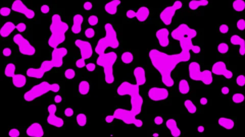 CC ball action animation Stock Footage 297771219