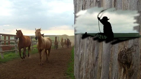 CCC Ranch  Horse Run Stock Footage 67812834