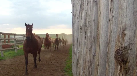 CCC Ranch Run by 2 Stock Footage 67812735