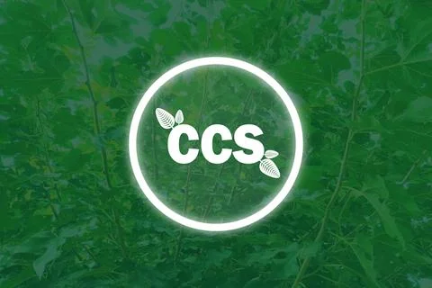 CCS acronym for Carbon Capture Storage words CCS in Circle with a Green lea.. Ilustración de archivo