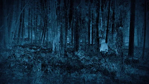 CCTV Anonymous Man In Forest, Crime, Suspect Concept Video stock 274985210