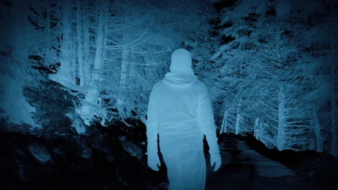CCTV Anonymous Man Walks In Forest Crime, Forensics Concept Video stock 276225349