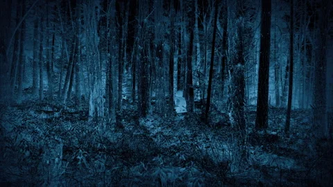 CCTV Anonymous Person Runs Through The Woods Video stock 278939532